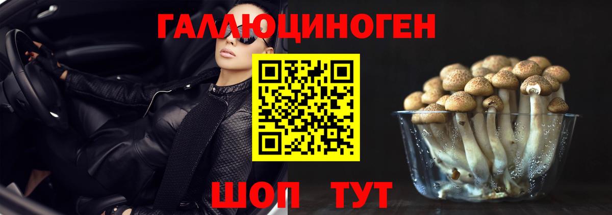 Псилоцибиновые грибы GOLDEN TEACHER Горячий Ключ